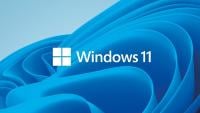 Microsoft Windows 11 Pro 64 Bit Systembuilder