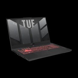 ASUS TUF Gaming F17 FX707VI-HX098 - 17,3