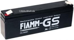 Bleigel-Akku für Fiamm FG20201