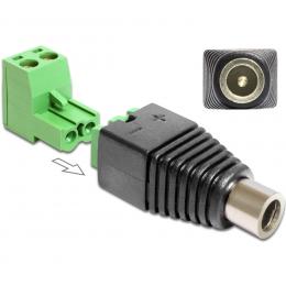 Delock Adapter Terminalblock > DC 2,5 x 5,5 mm Buchse 2-teilig