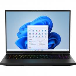 ERAZER ERAZER Beast X40 High-End Gaming Laptop (2024), Intel® Core™ i9-14900HX, Windows 11 Home, 43,2 cm (17