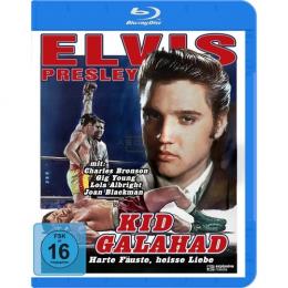 Kid Galahad - Harte Fuste, heie Liebe       (Blu-ray)