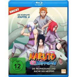 Naruto Shippuden - Die Prophezeiung und Rache des Meisters      Staffel 06: Folge 333-363 (Blu-ray)