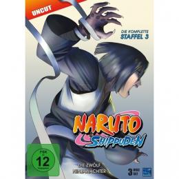 Naruto Shippuden - Die zwlf Ninjawchter - Staffel 03:      Folge 274-291 (3 DVDs)