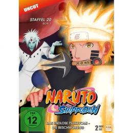 Naruto Shippuden - Episode 634-641      (2 DVDs)