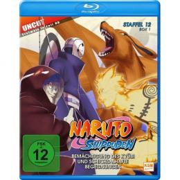 Naruto Shippuden Folge 463-480      (2 Blu-rays)