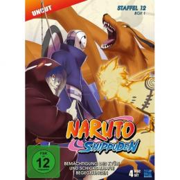 Naruto Shippuden - Folge 463-487      (4 DVDs)