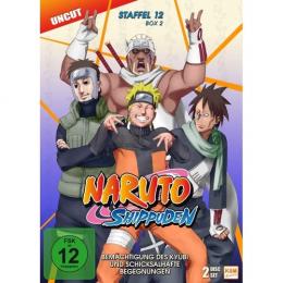 Naruto Shippuden - Folge 488-495      (2 DVDs)