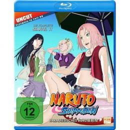 Naruto Shippuden - Paradiesisches Bordleben - Staffel 11      Folge 443-462 (Blu-ray)