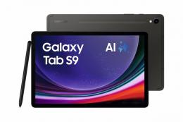 Samsung Galaxy Tab S9 Wi-Fi 128 GB (Grau) + SmartTag2 (weiß) 11