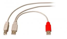 USB2.0 Y-Kabel, 1xUSB B Stecker - 2xUSB A Stecker, 1m, beige